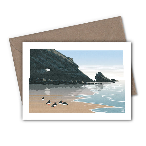 Oystercatchers Greetings Cards - Set of 4