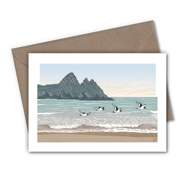 Oystercatchers Greetings Cards - Set of 4