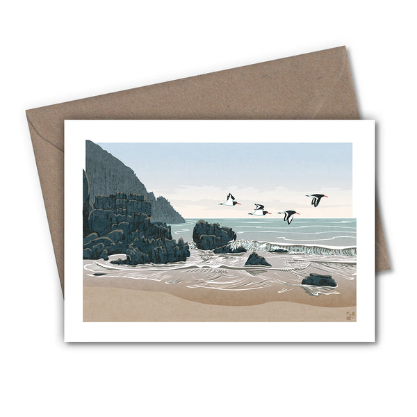 Oystercatchers Greetings Cards - Set of 4