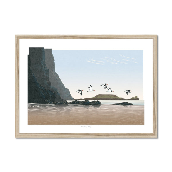 Oystercatchers at Rhossili Bay, Gower, Wales - Framed Print