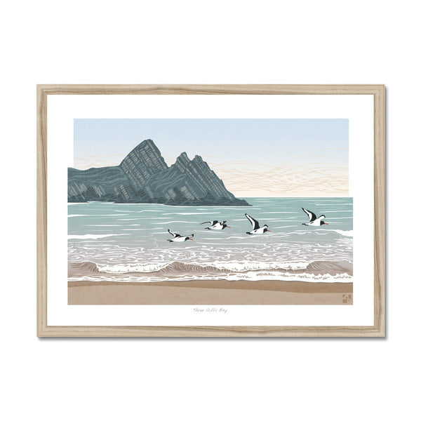 Oystercatchers at Three Cliffs Bay, Gower, Wales - Framed Print