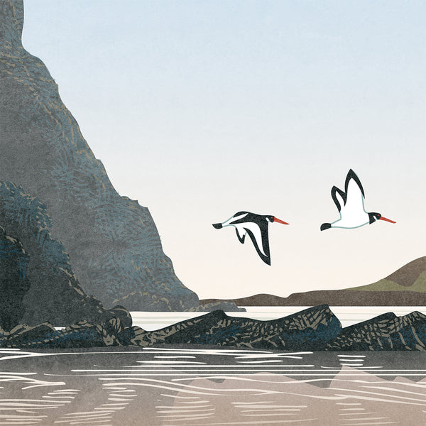 Oystercatchers at Rhossili Bay, Gower, Wales - Fine Art Print