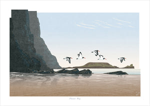 Oystercatchers at Rhossili Bay, Gower, Wales - Fine Art Print