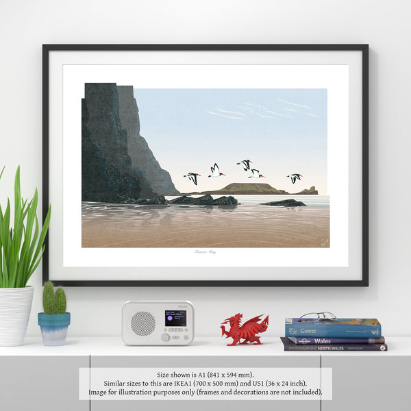 Oystercatchers at Rhossili Bay, Gower, Wales - Fine Art Print