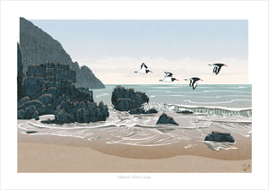 Oystercatchers at Church Doors Cove, Pembrokeshire, Wales - Fine Art Print