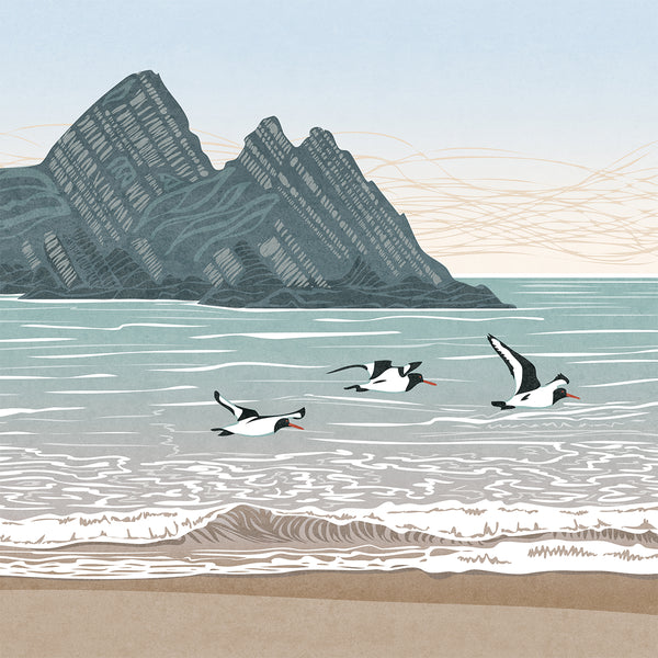 Oystercatchers at Three Cliffs Bay, Gower, Wales - Fine Art Print