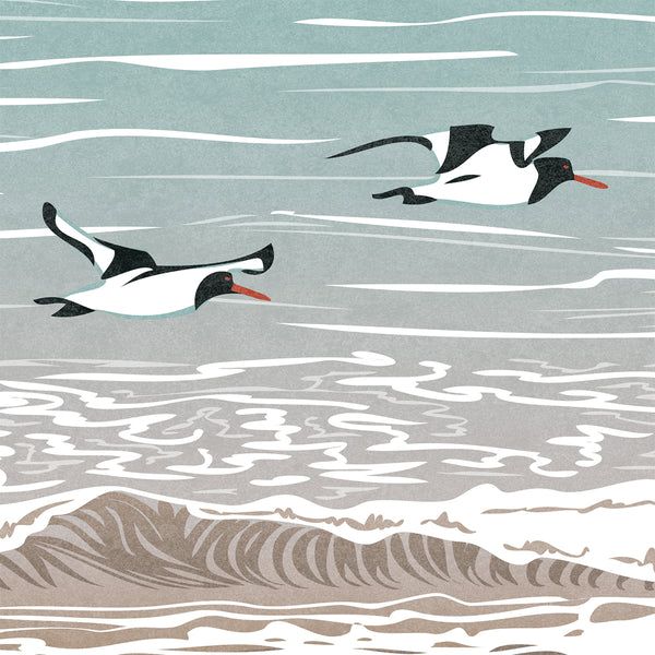 Oystercatchers at Three Cliffs Bay, Gower, Wales - Fine Art Print