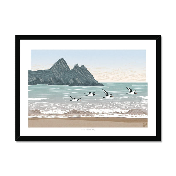 Oystercatchers at Three Cliffs Bay, Gower, Wales - Framed Print