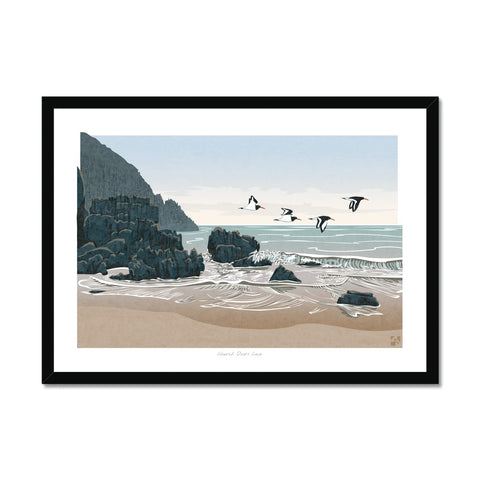 Oystercatchers at Church Doors Cove, Pembrokeshire, Wales - Framed Print