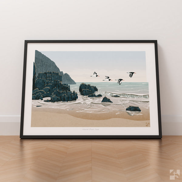 Oystercatchers at Church Doors Cove, Pembrokeshire, Wales - Fine Art Print